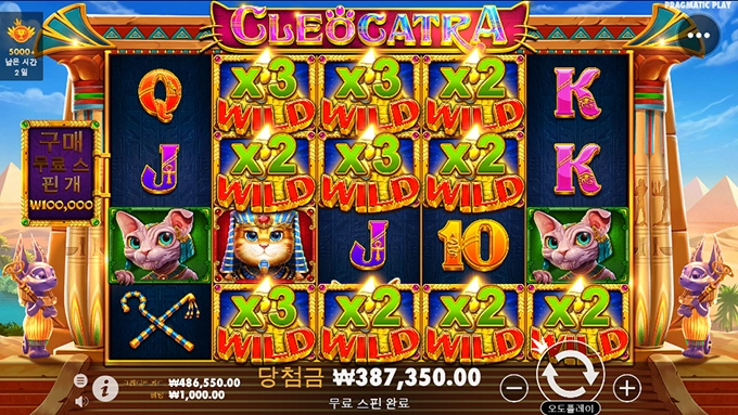 고양이난 사랑입니다