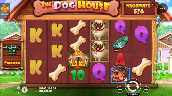 프라그마틱 개집에서 40출 해봅니다