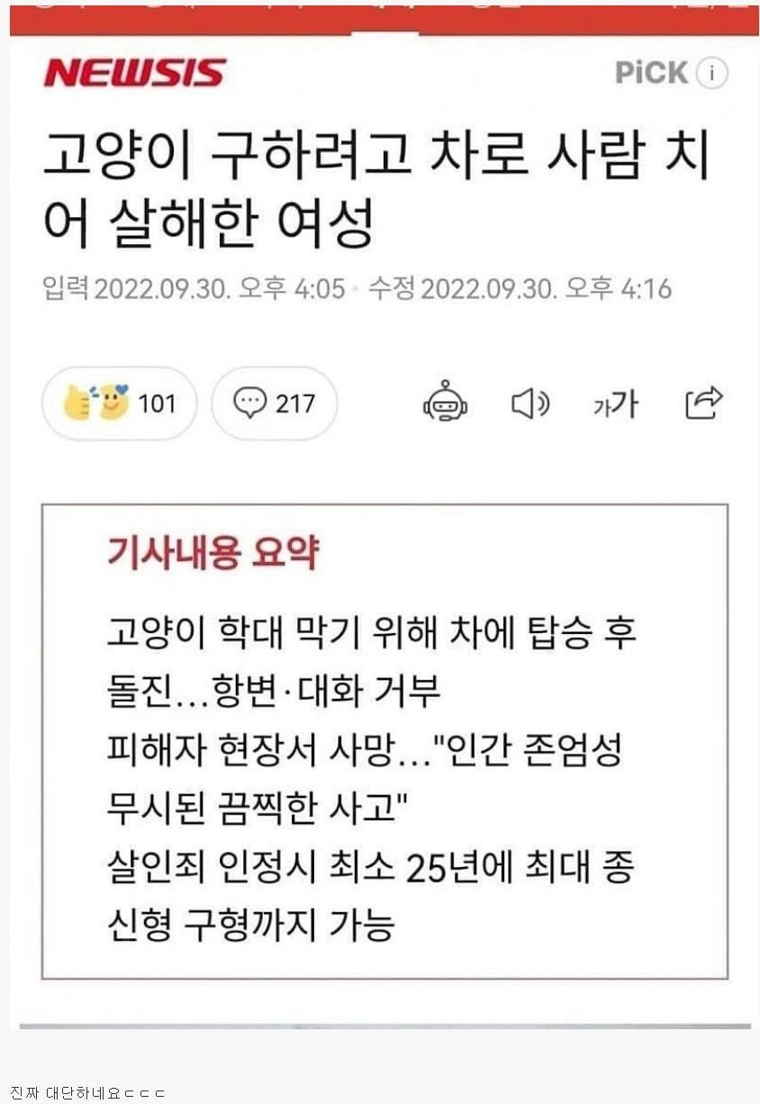 고양이 구하려고 사람 살해