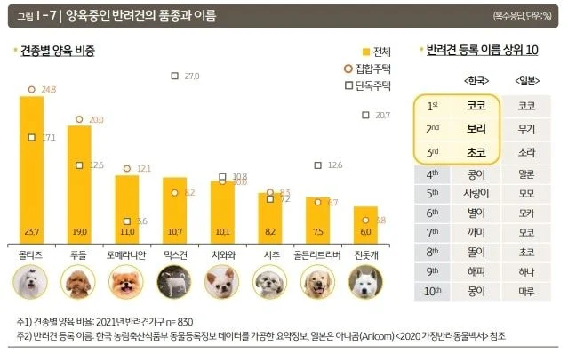 한국에서 인기많은 댕댕이 품종과 이름 랭킹🐕