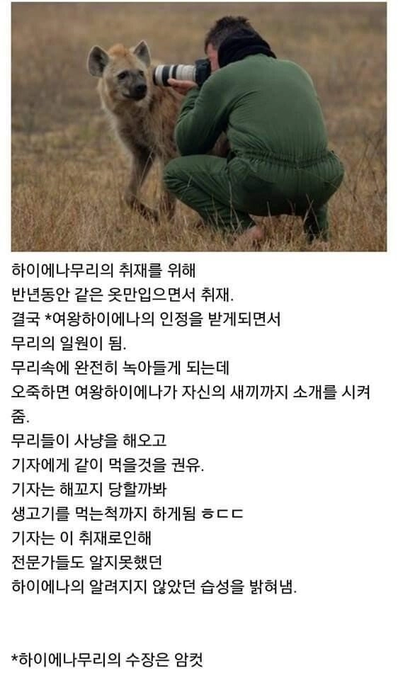 생고기 먹을뻔한 기자