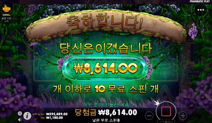 고릴라메이햄 대단하네 ㅅㅂ