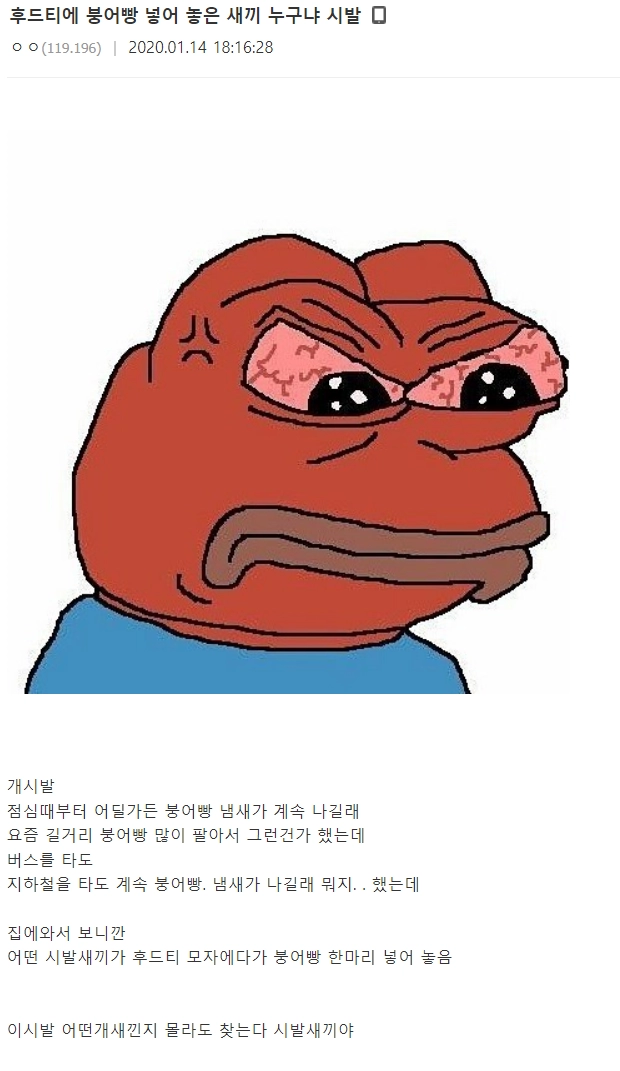 후드티에 붕어빵 넣어 놓은 놈 누구냐