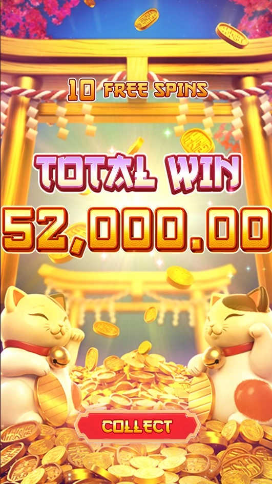 우드슬롯사이트 피지후기