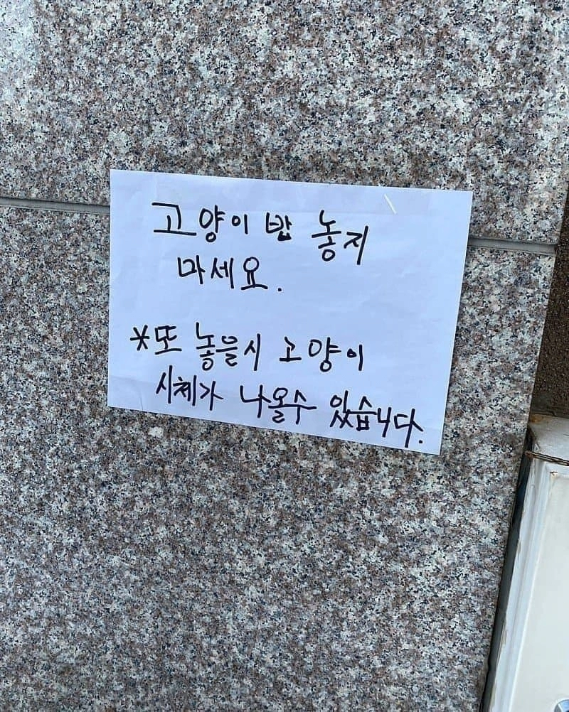 상남자식 캣맘 대처법.jpg