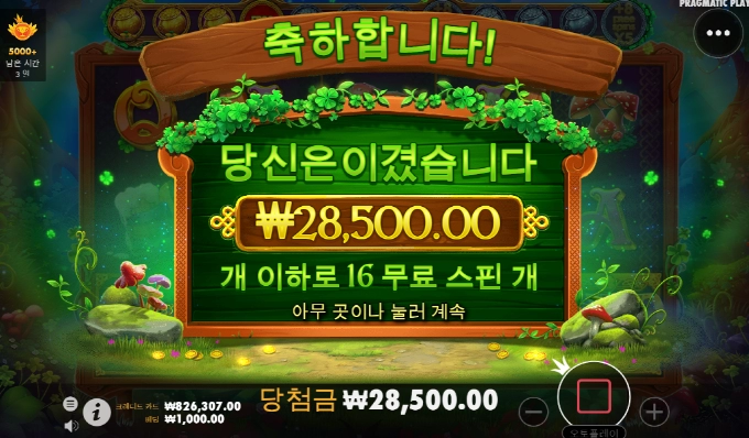 클로버 골드 이건 당췌 우찌 먹남?