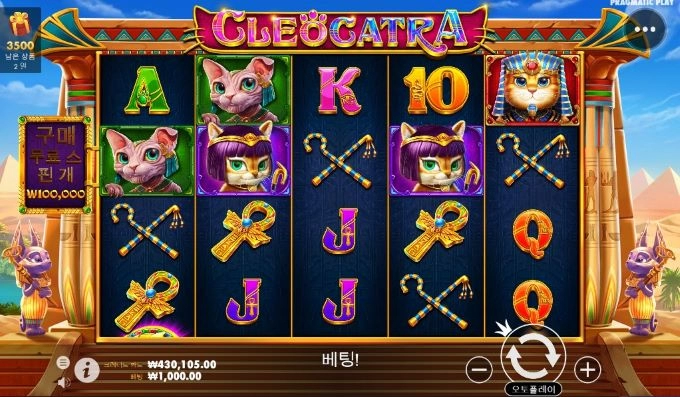 오늘 픽은 맥스윈