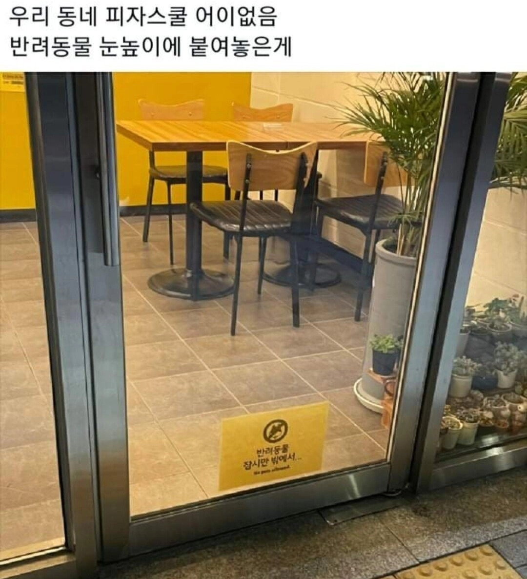편견이 없는 피자집 사장님