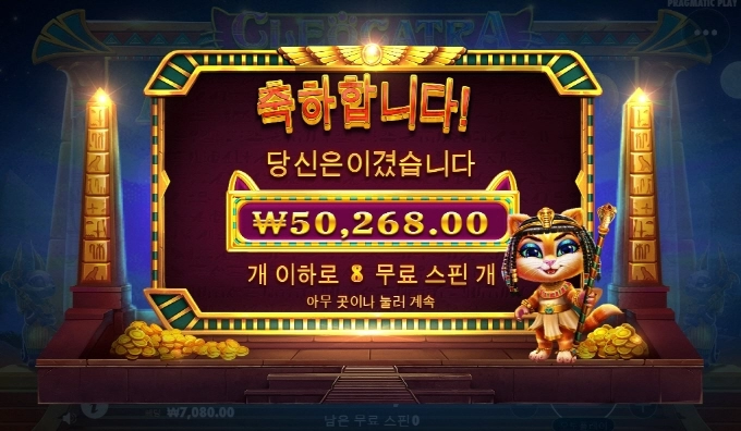 캐트라 오늘은 개 망했네 아오