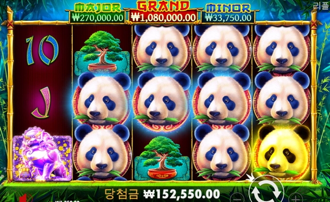 강파카지노 최고~