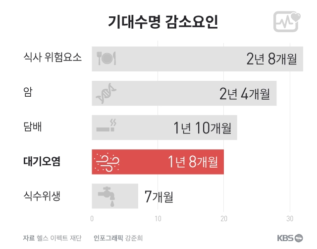 전세계 미세먼지로 인한 기대수명 감소율