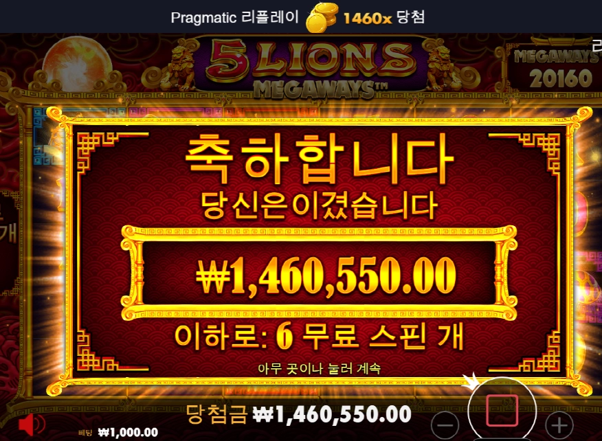 5라이온즈 불사조 모닝샷!!!