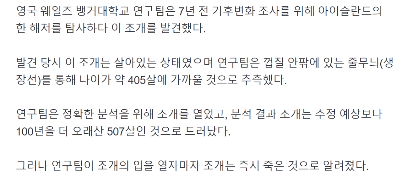 507살 먹은 조개의 최후