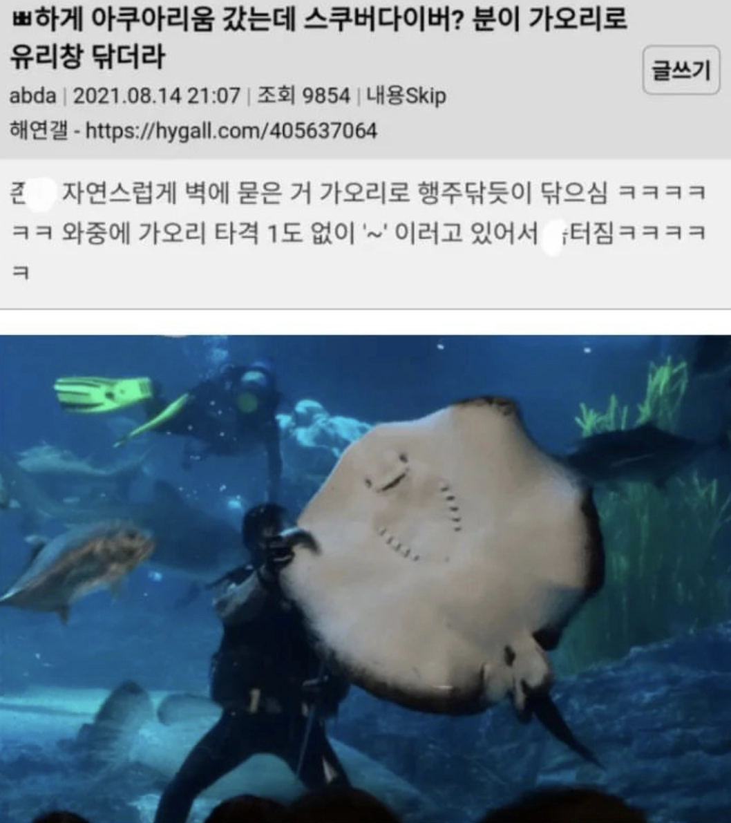 아쿠아리움 유리 뭘로 닦는지 앎?