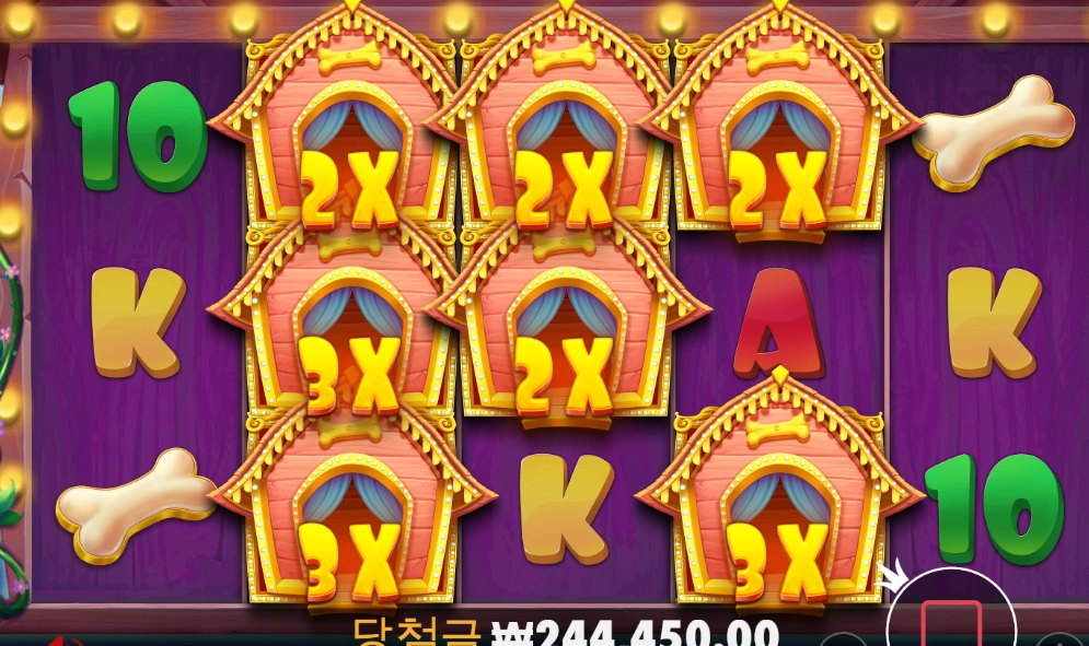 '도그 하우스' 불독 건졌습니다 ^^@