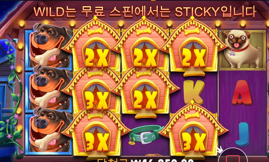 '도그 하우스' 불독 건졌습니다 ^^@