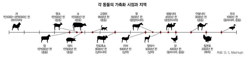 인류가 동물을 가축화한 순서.jpg