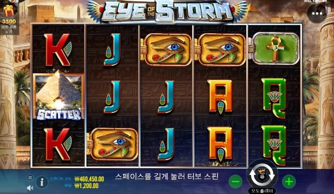 오늘도 기대해본다