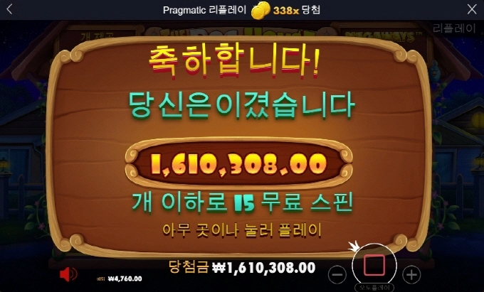 개집 나름 선방했네요  330배 일단 출금