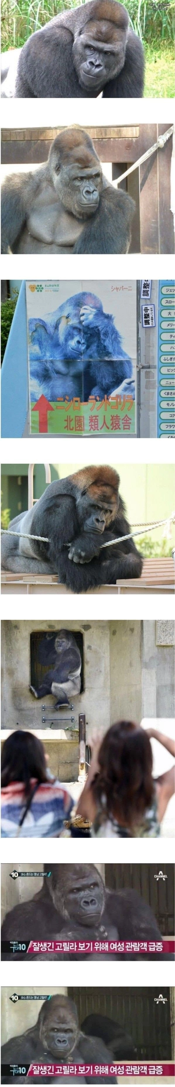 여자들이 한번이라도 보려고 줄을 선다는 일본의 존잘남.jpg