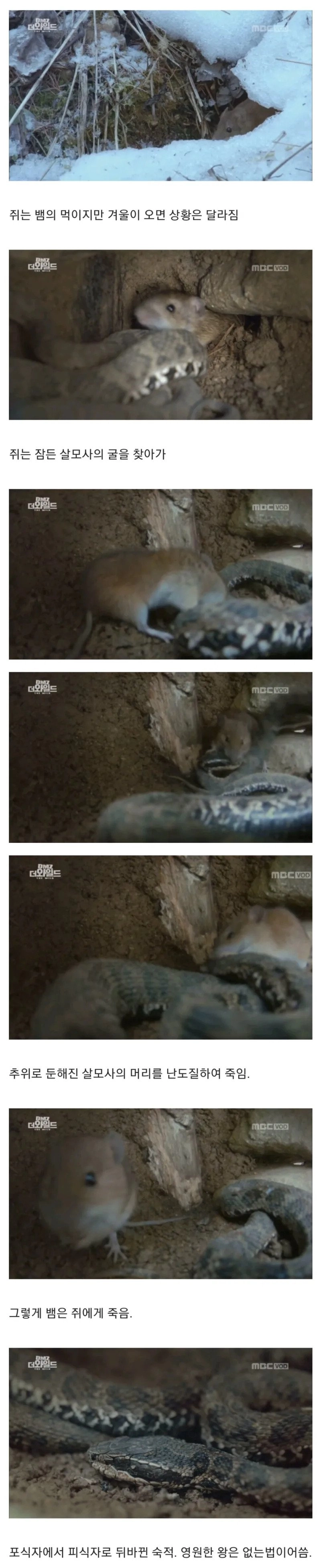 쥐의 1년 존버 결과.jpg