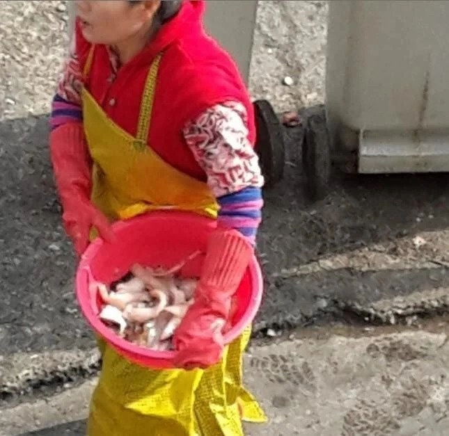 시사고발 프로그램에 포착된 어느 매운탕집.jpg