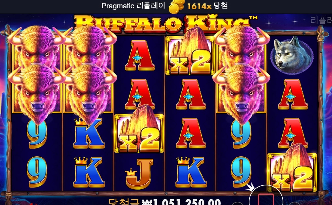 가토~버팔로 오전반 결과!!