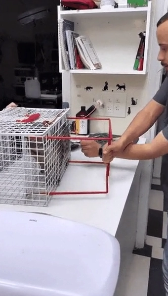 고양이가 주사맞을때 쓰는 케이지