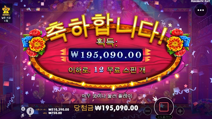 핫피는 축제지요