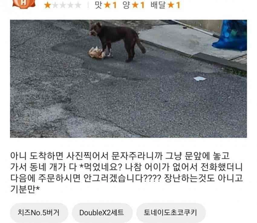 개같은 배달 리뷰
