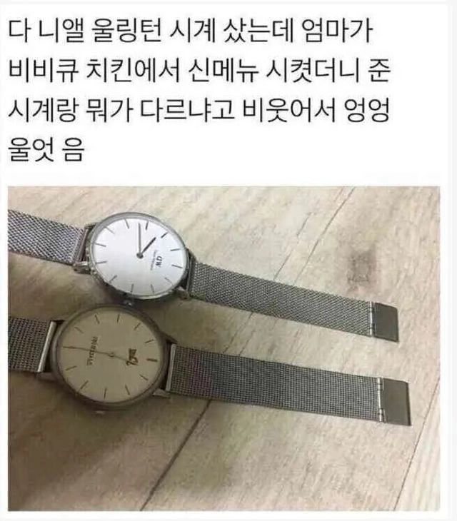 시계 잘 모르는 사람들 특징