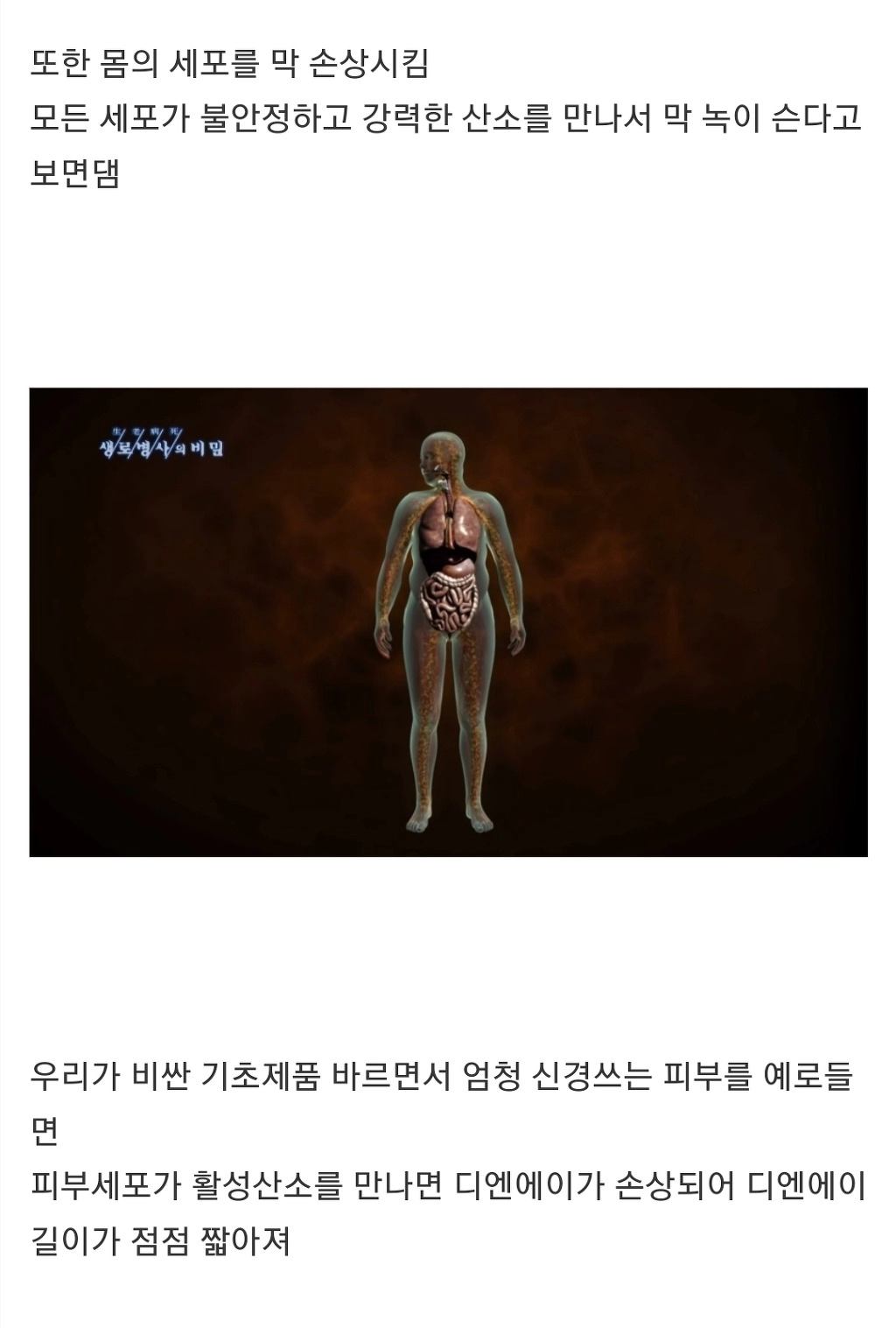 과식하면 빨리늙고 빨리죽는 이유