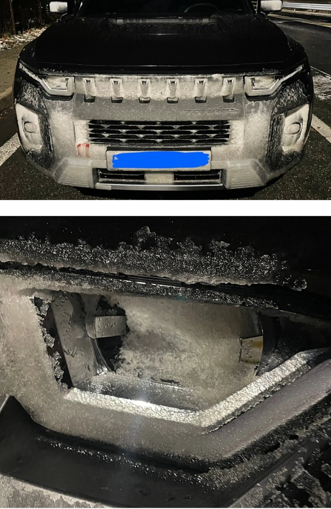 난리난 쌍용 토레스