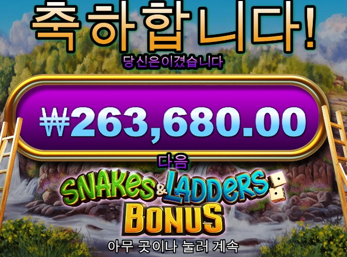 사다리 오지게 타봤네