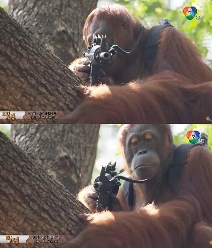 잘생긴 사람만 들어오세요.