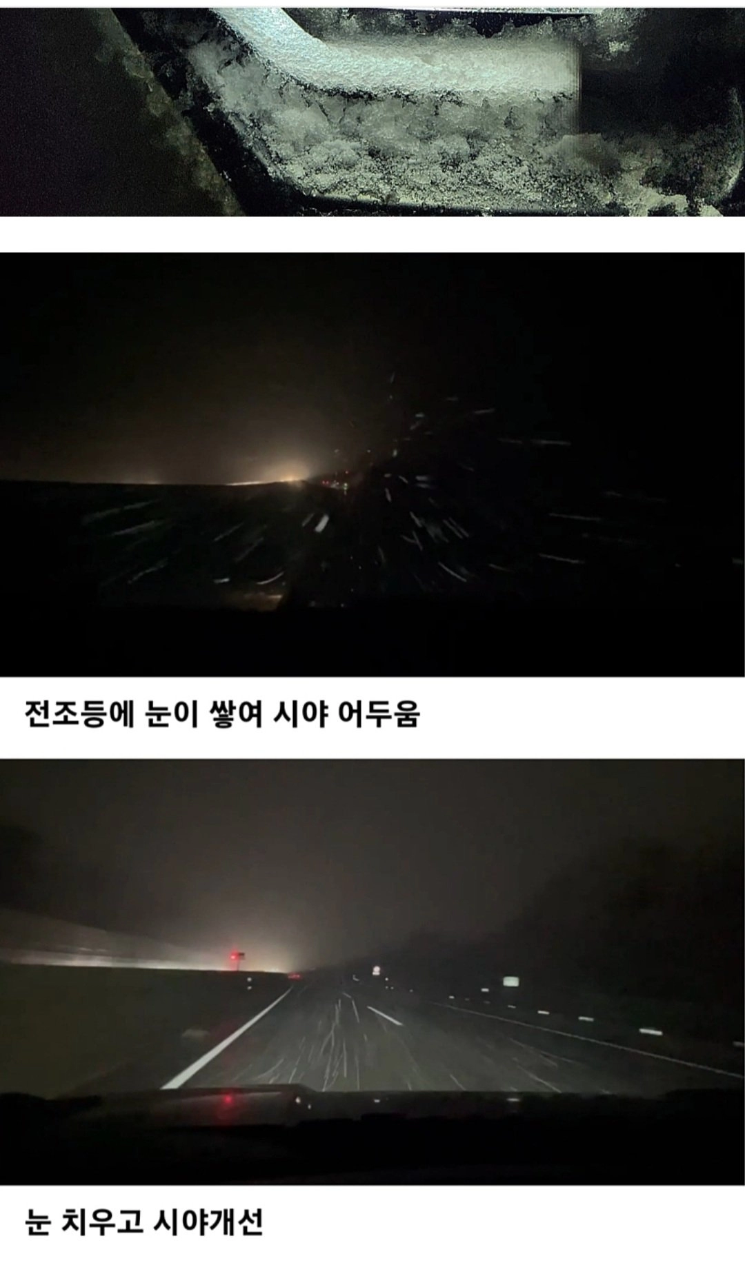 난리난 쌍용 토레스