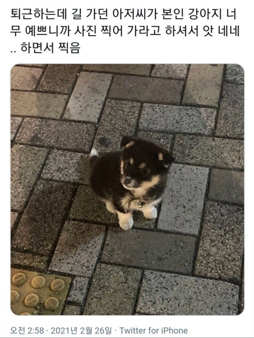 길 가던 아저씨의 갑작스런 사진 제안.JPG