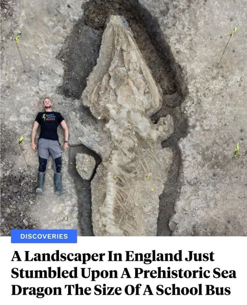 영국 저수지에서 발견된 길이 10m 바다괴물