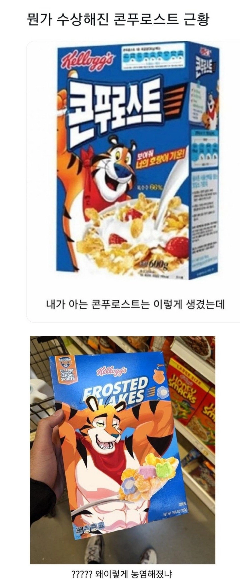 콘푸로스트 호랑이 역변 근황ㅋㅋ