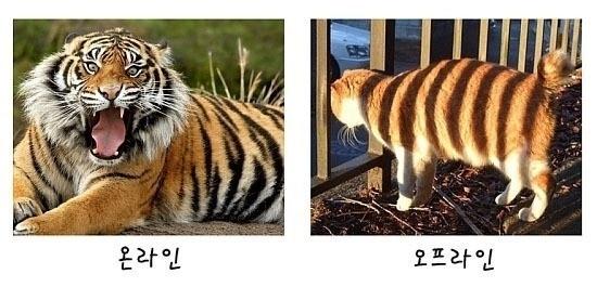 키보드 워리어들의 현실 모습