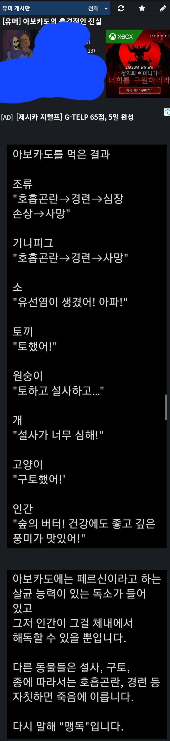 아보카도의 충격적인 진실