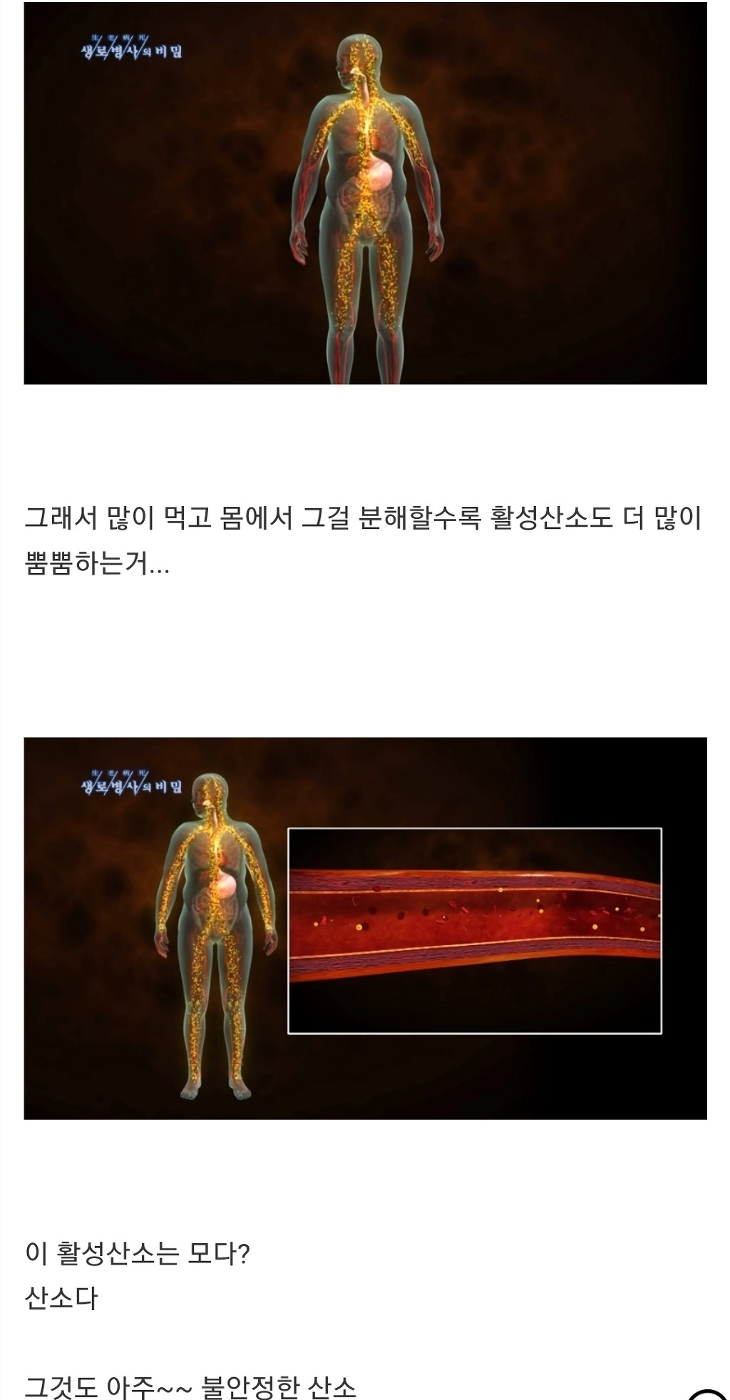 과식하면 빨리늙고 빨리죽는 이유