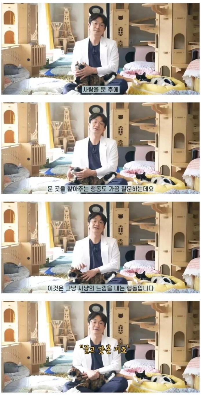 고양이가 물고나서 핥아주는 이유