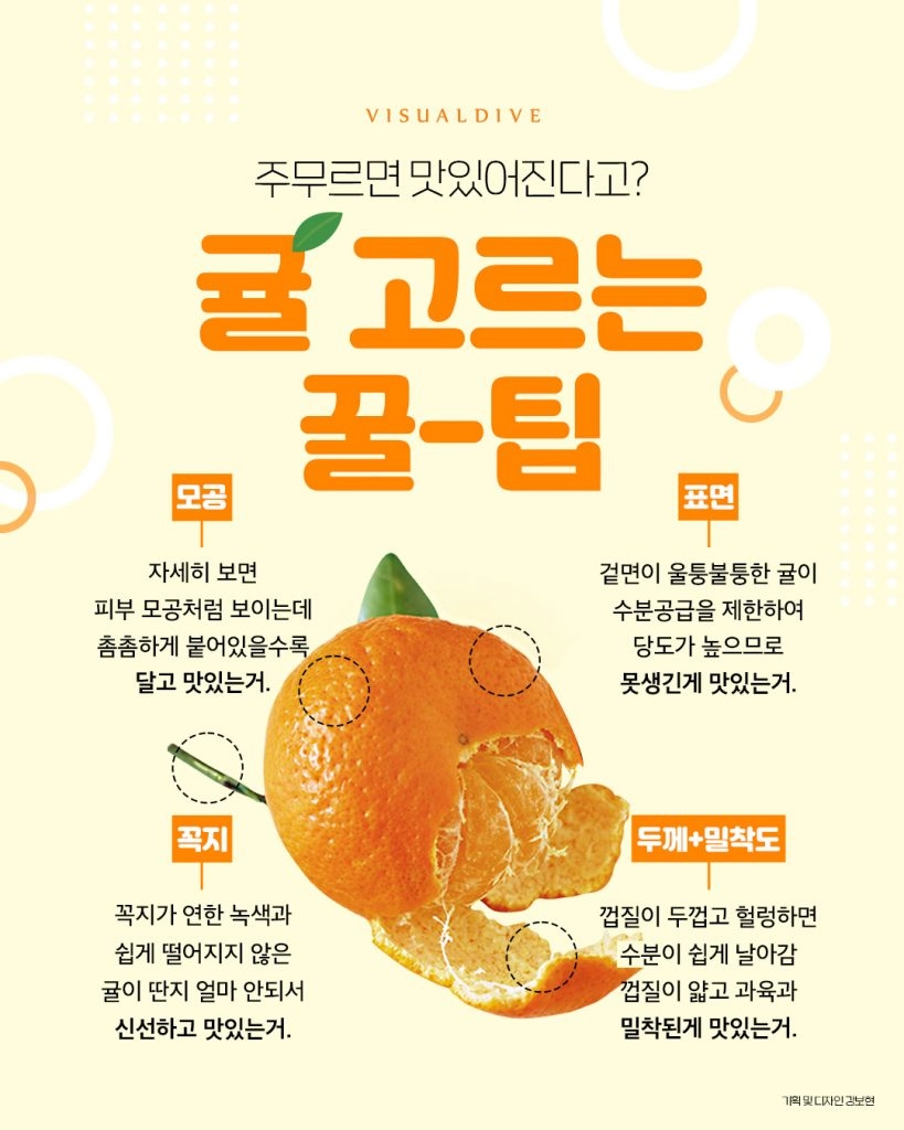 주무르면 맛있어진다고? 귤 고르는 꿀팁