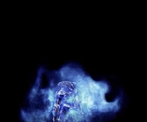 질럿이 죽을때 모습의 진실.gif