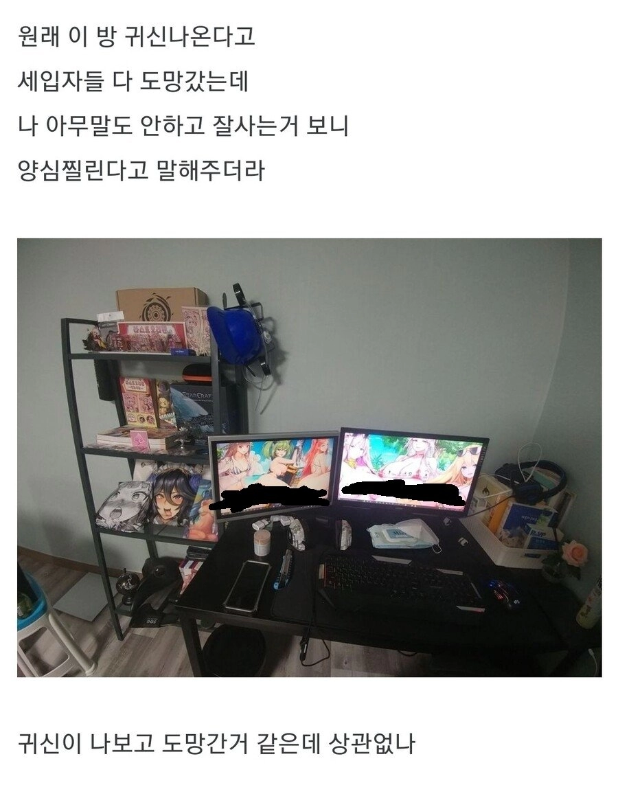 사실 귀신 나오는 집이였다고 양심고백한 집주인
