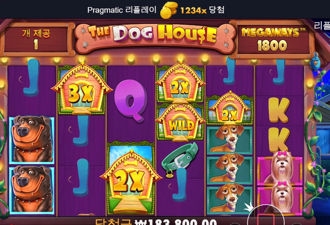 200원의 행복~!  도그하우스 메가웨이즈