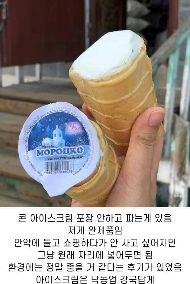 몽골 아이스크림.jpg