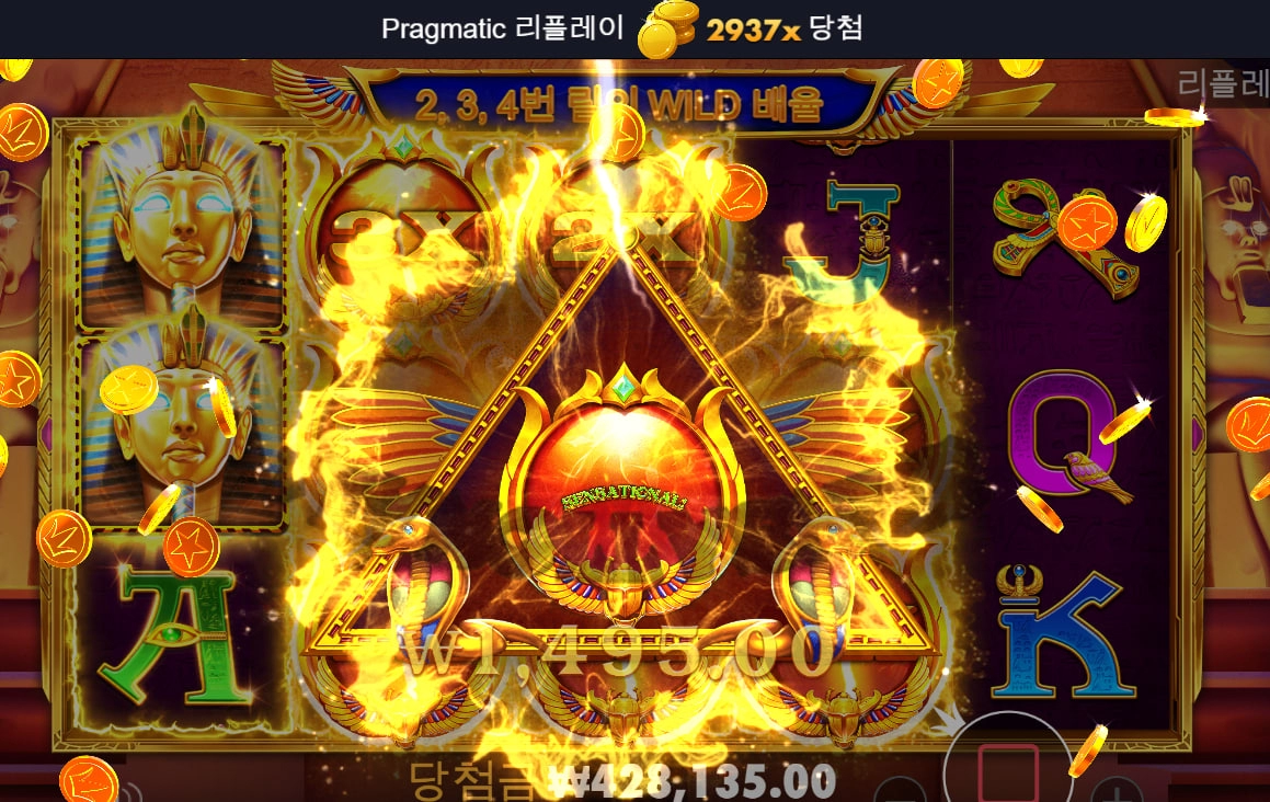 비주얼 굿~! 2937x