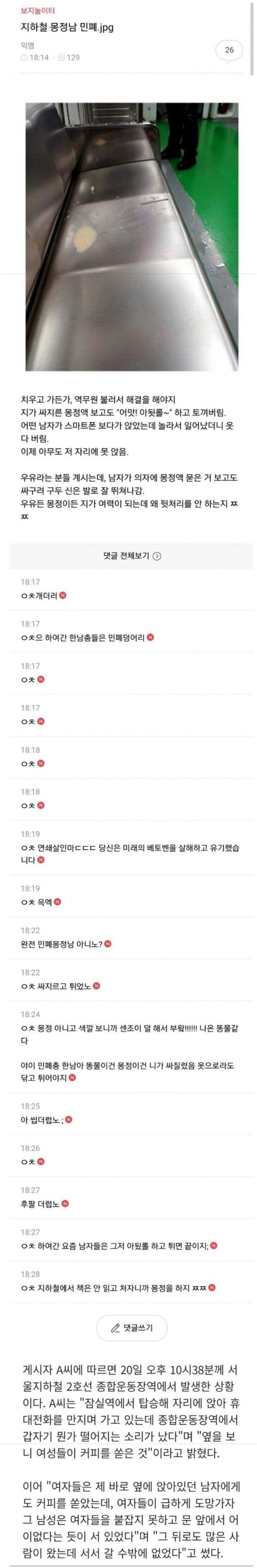 지하철 몽정남 민폐